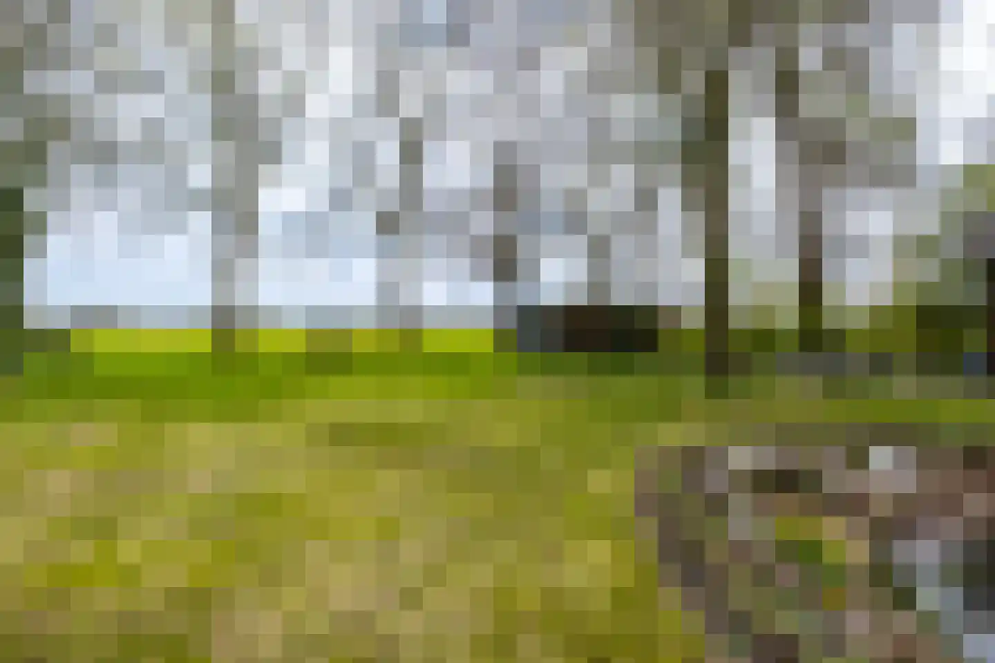 Bûtewei 48 Wijnjewoude thumbnail 23