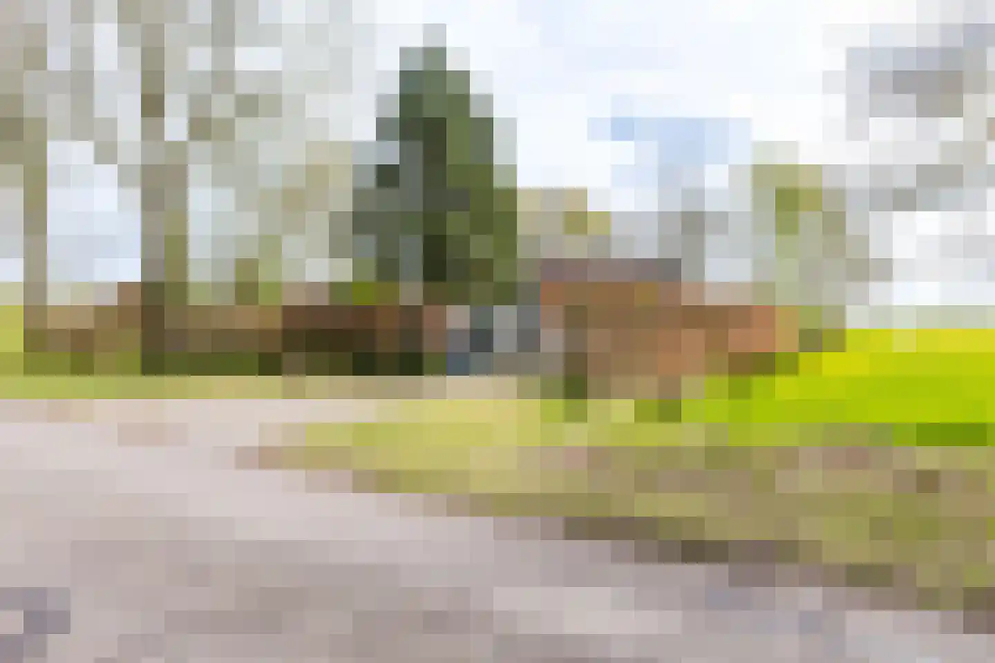 Bûtewei 48 Wijnjewoude thumbnail 25