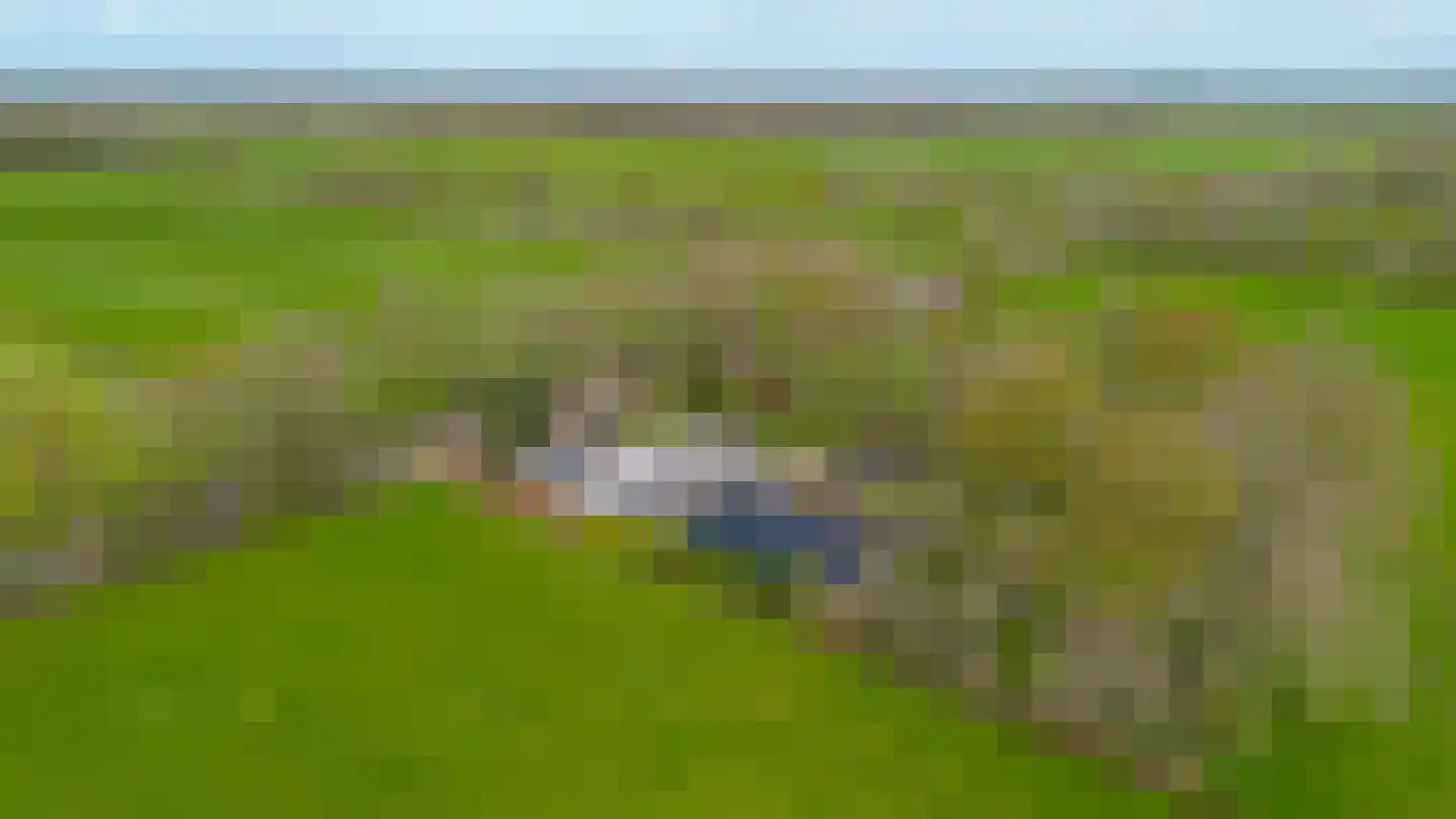 Bûtewei 48 Wijnjewoude thumbnail 26