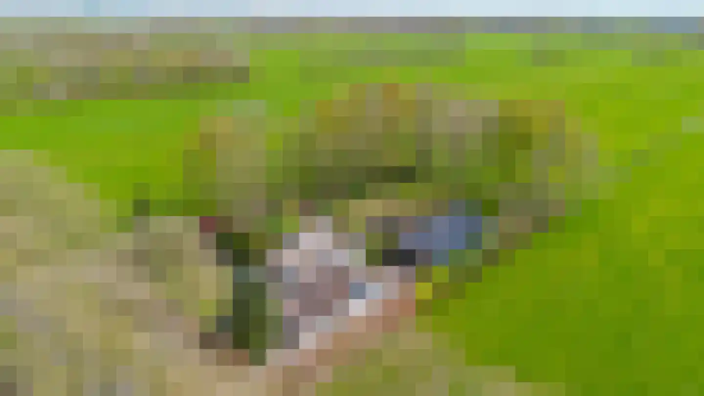 Bûtewei 48 Wijnjewoude thumbnail 27