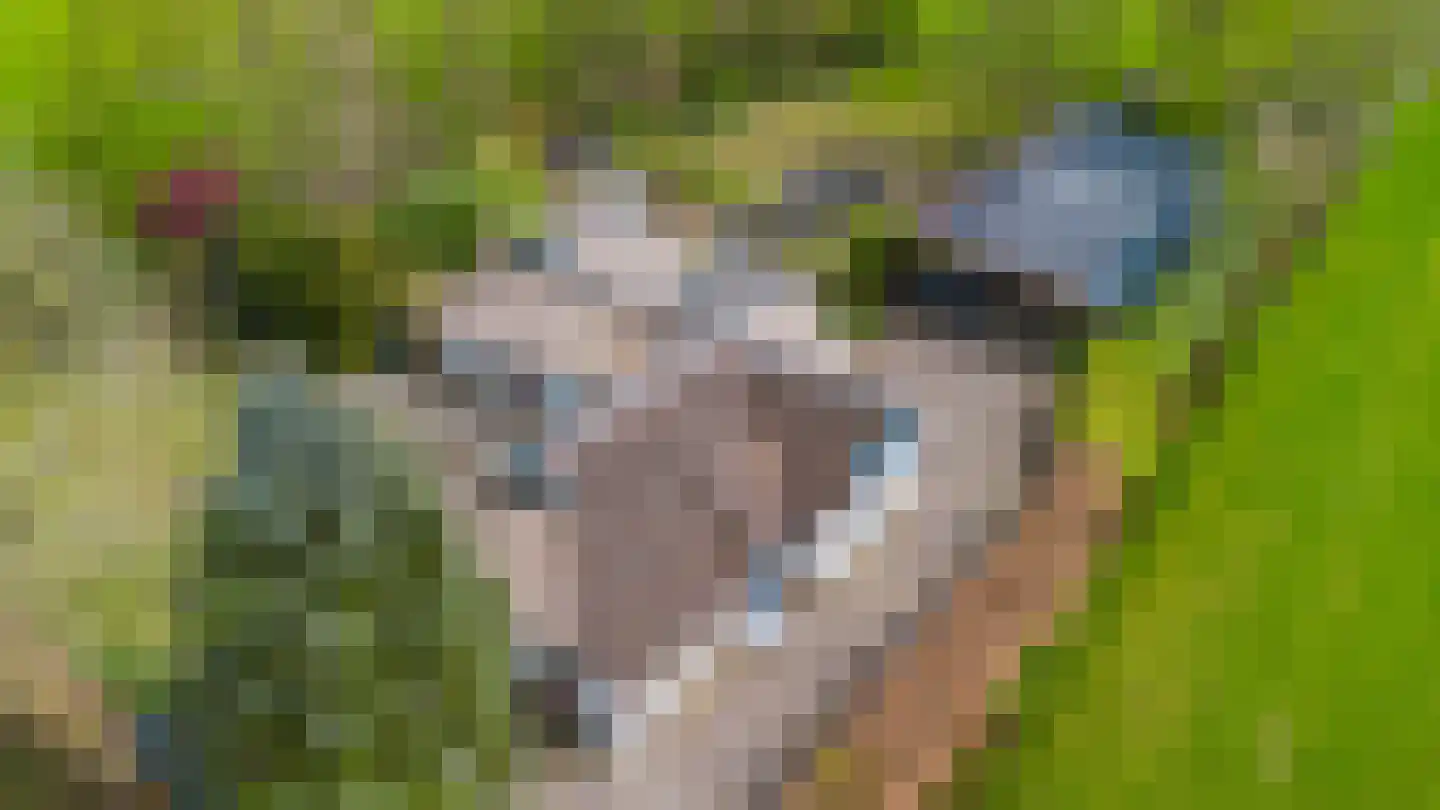 Bûtewei 48 Wijnjewoude thumbnail 28
