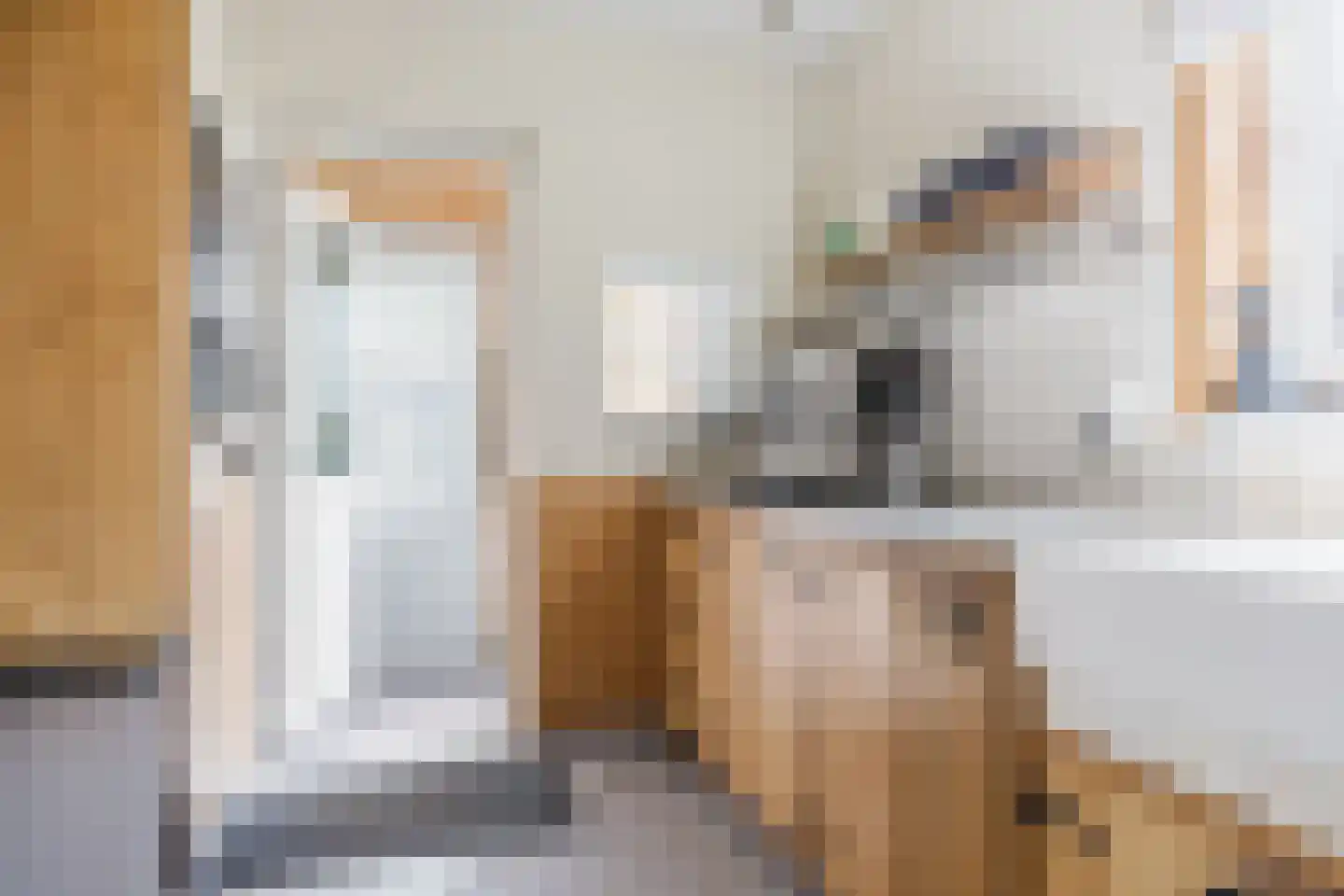 Bûtewei 48 Wijnjewoude thumbnail 35