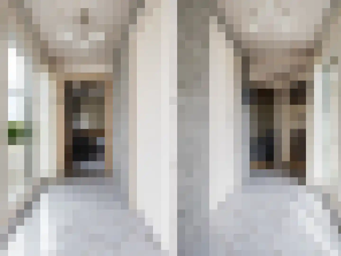 Bûtewei 48 Wijnjewoude thumbnail 38