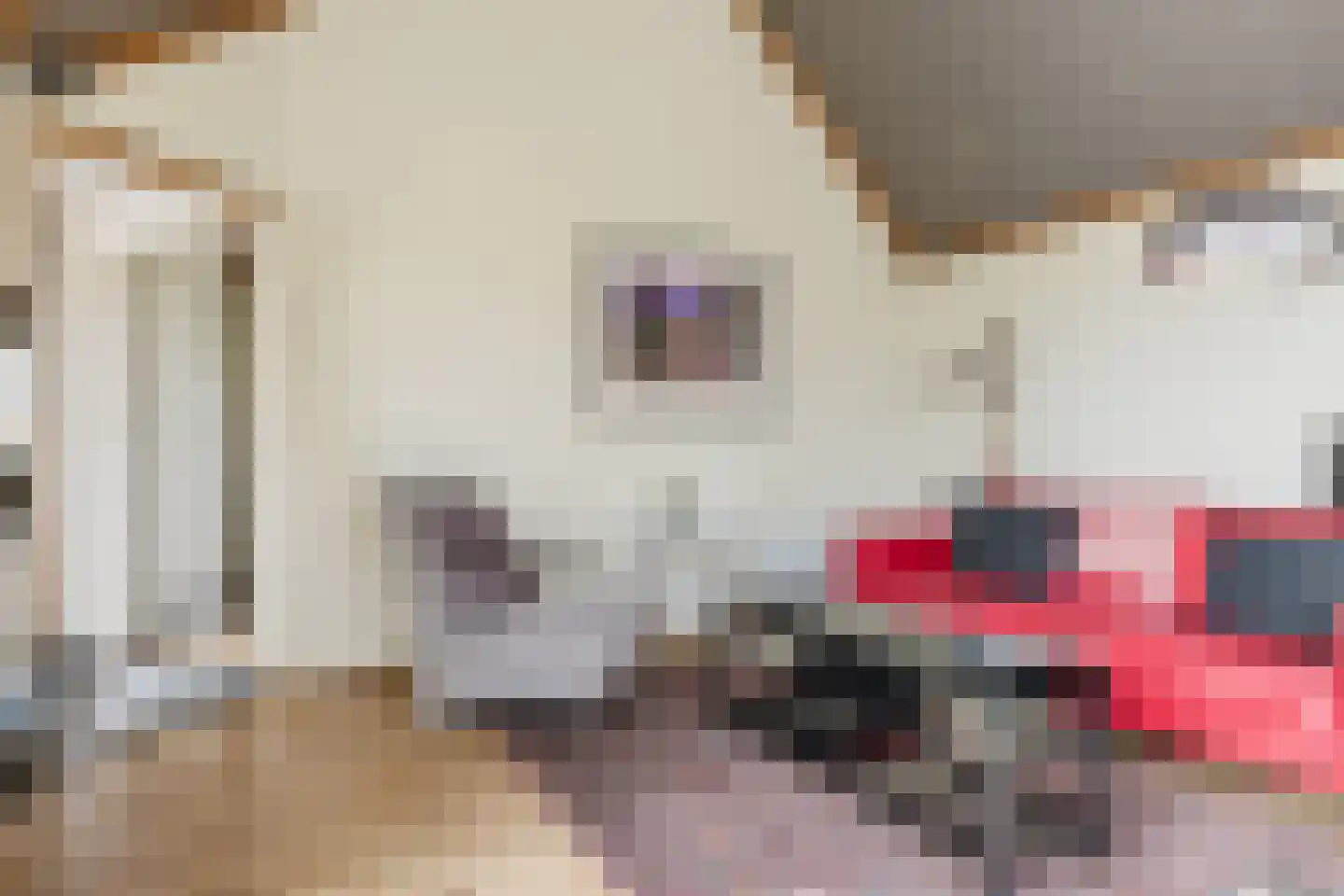 Bûtewei 48 Wijnjewoude thumbnail 40