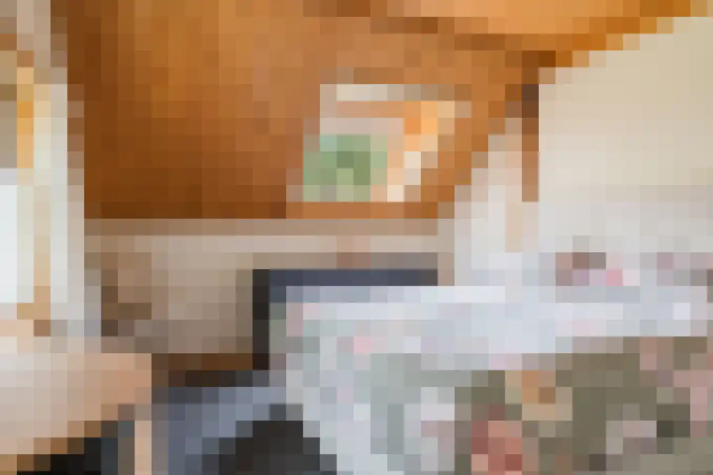 Bûtewei 48 Wijnjewoude thumbnail 50