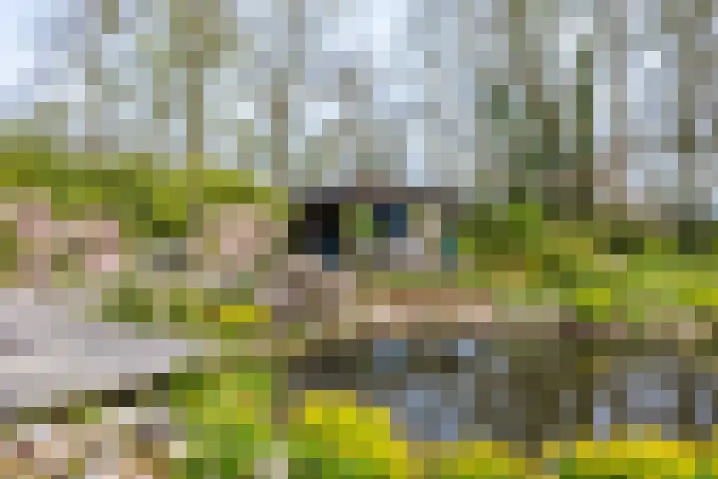 Bûtewei 48 Wijnjewoude thumbnail 53