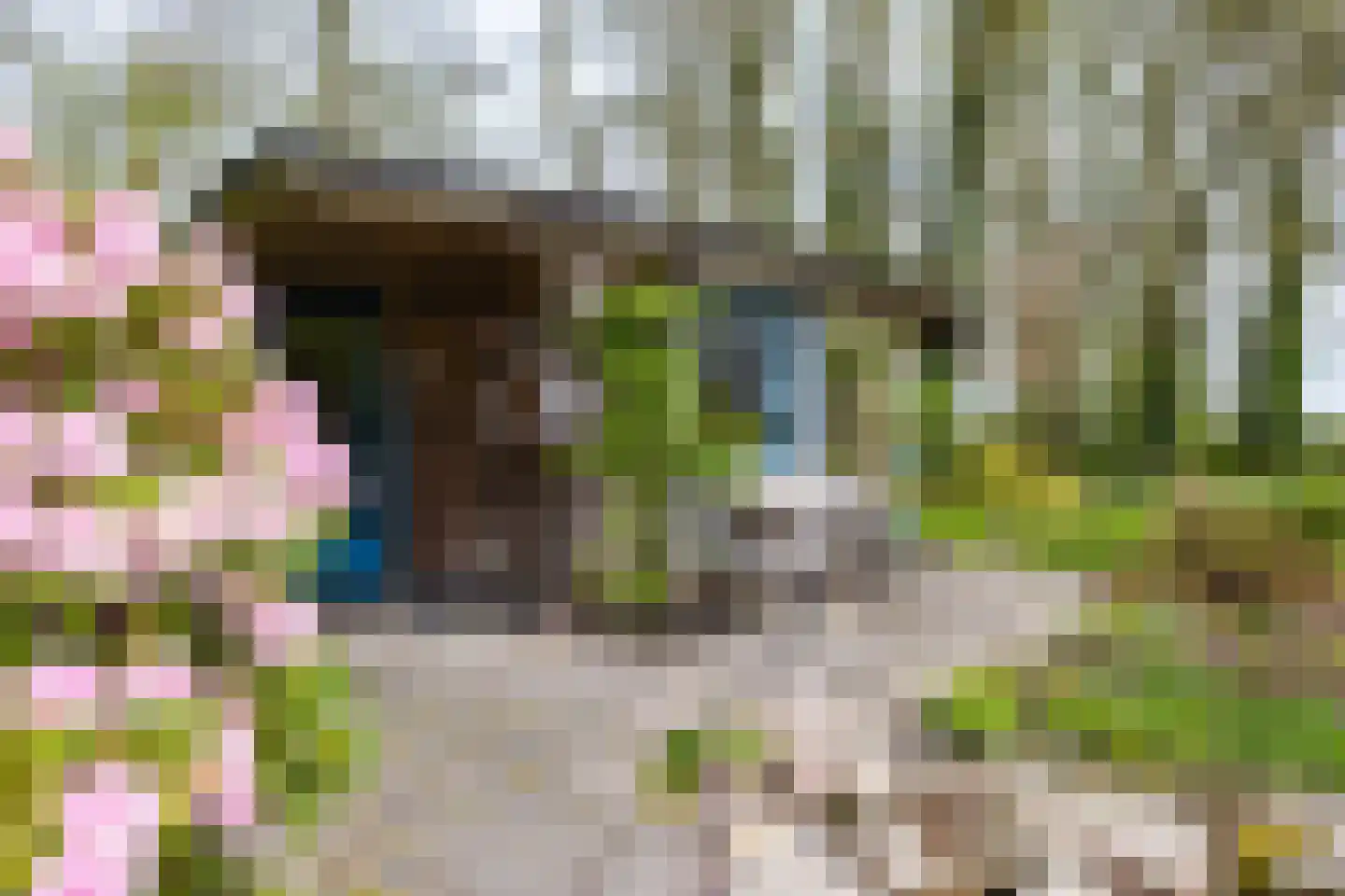 Bûtewei 48 Wijnjewoude thumbnail 54