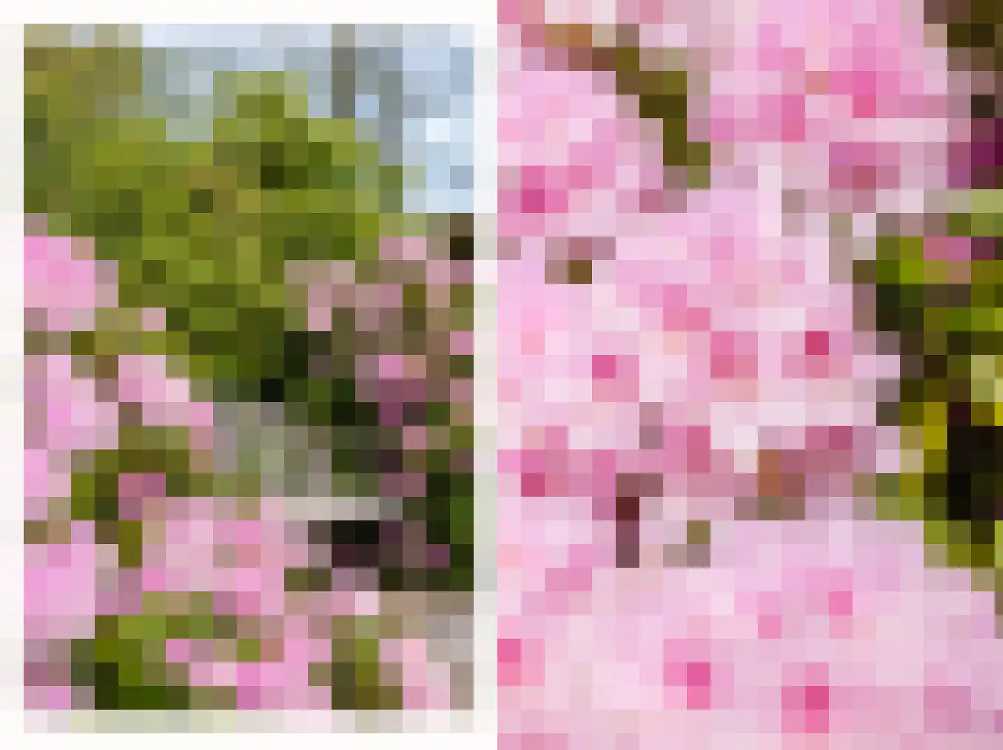 Bûtewei 48 Wijnjewoude thumbnail 55