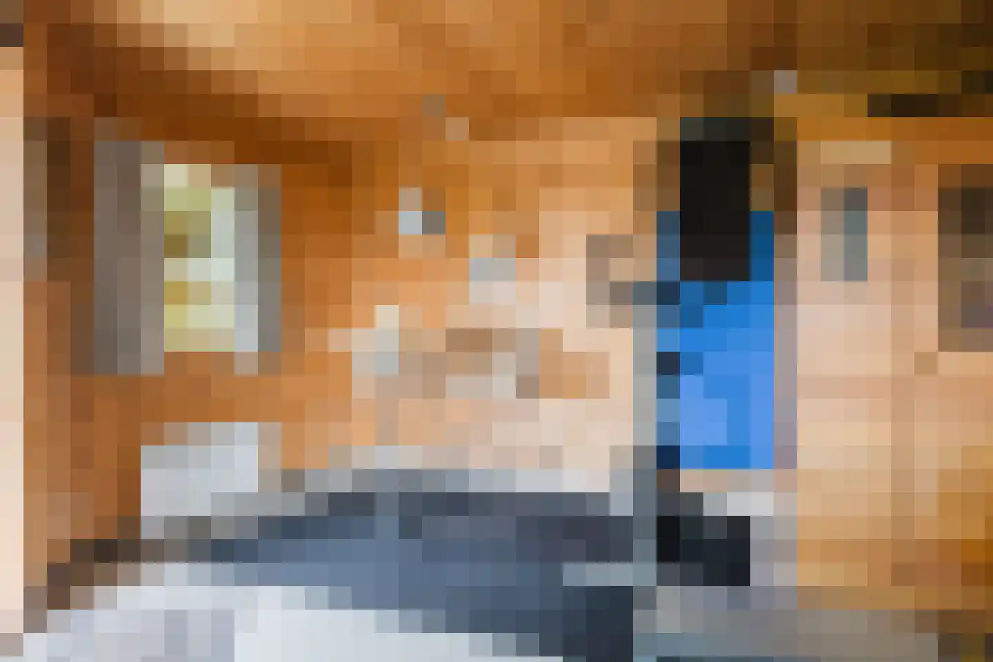 Bûtewei 48 Wijnjewoude thumbnail 57