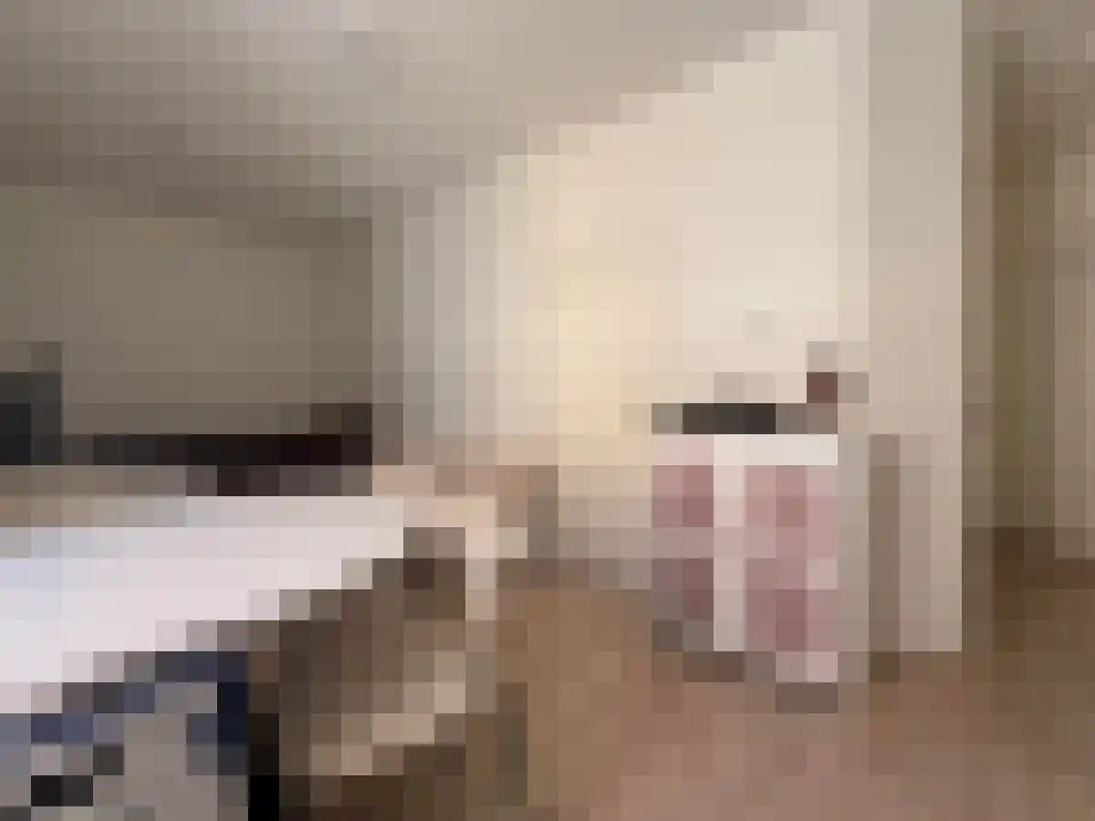 Butjesstraat 2 Groningen thumbnail 4