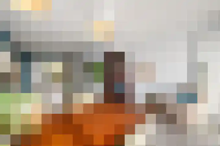 Bûtsingel 44 Joure thumbnail 12