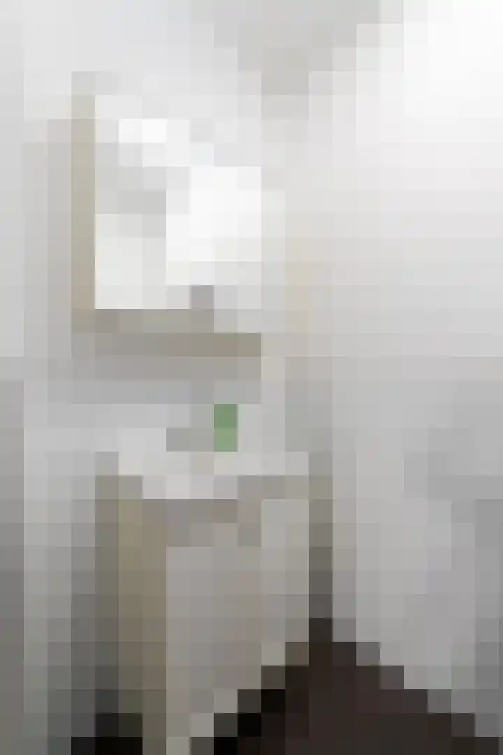 Bûtsingel 44 Joure thumbnail 17