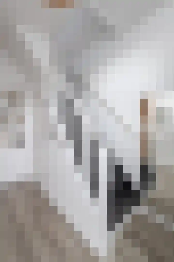 Bûtsingel 44 Joure thumbnail 21