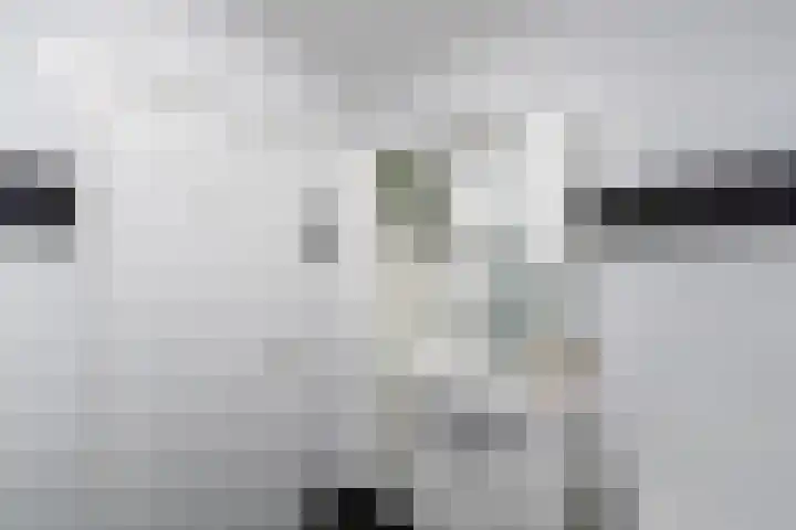 Bûtsingel 44 Joure thumbnail 27