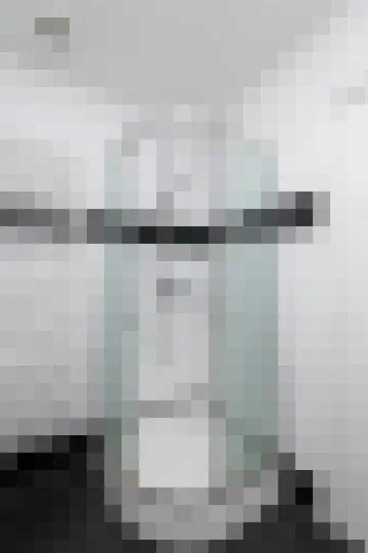 Bûtsingel 44 Joure thumbnail 28