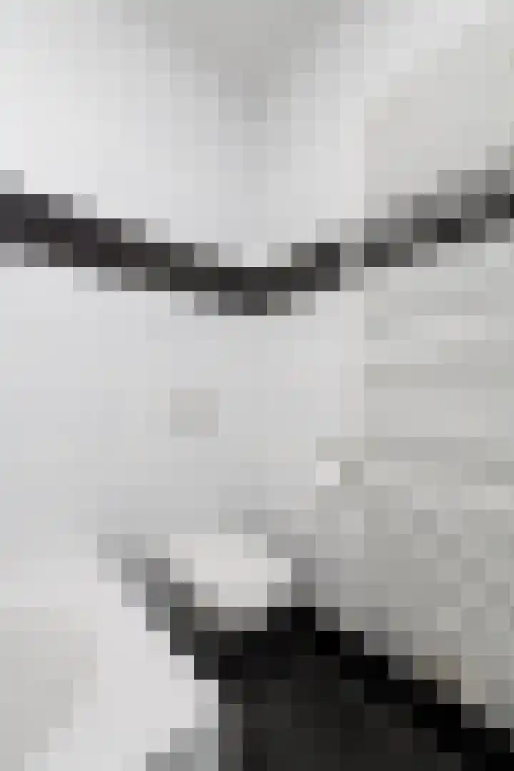 Bûtsingel 44 Joure thumbnail 29