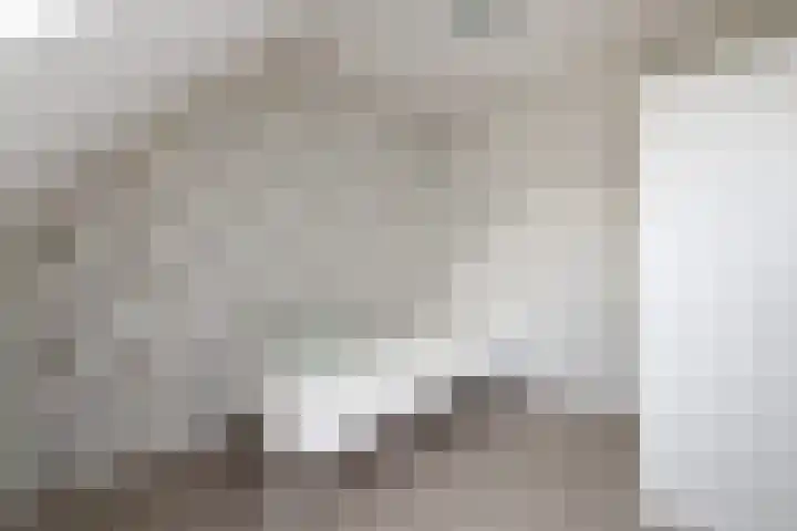 Bûtsingel 44 Joure thumbnail 30