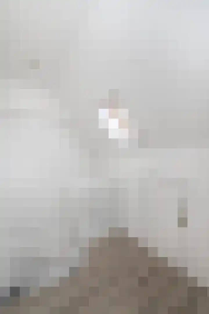 Bûtsingel 44 Joure thumbnail 33