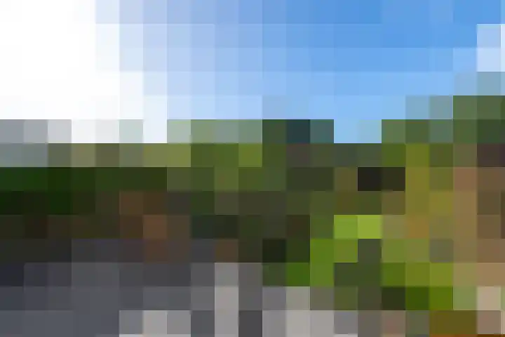 Bûtsingel 44 Joure thumbnail 34
