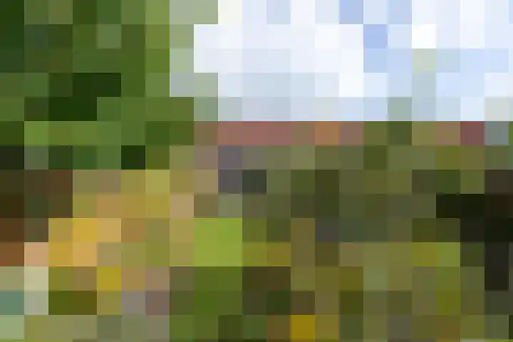 Bûtsingel 44 Joure thumbnail 35