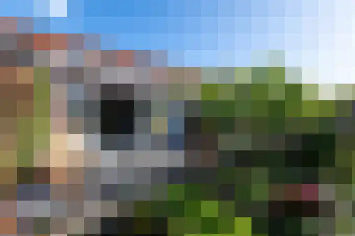 Bûtsingel 44 Joure thumbnail 36