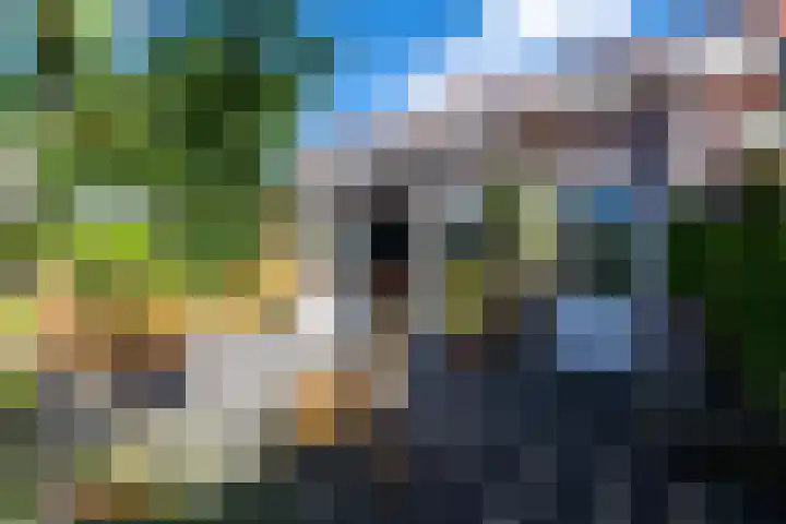 Bûtsingel 44 Joure thumbnail 37