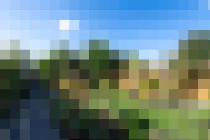 Bûtsingel 44 Joure thumbnail 38