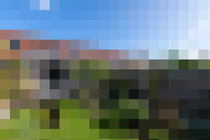 Bûtsingel 44 Joure thumbnail 39