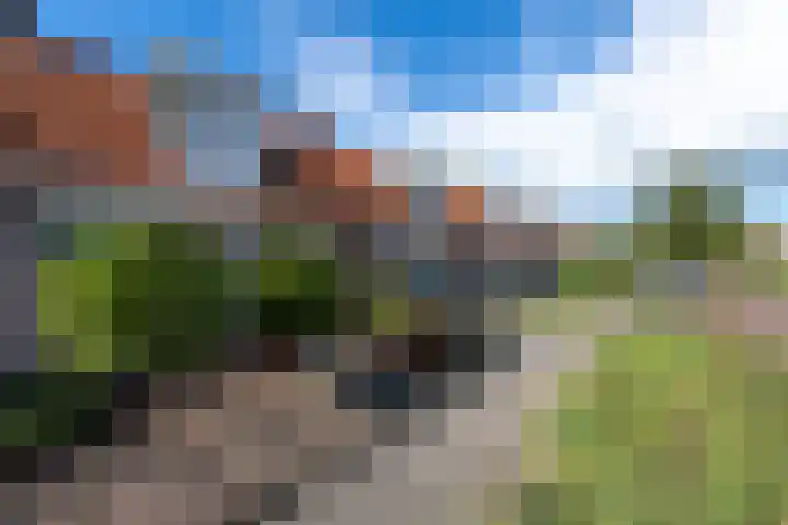 Bûtsingel 44 Joure thumbnail 4