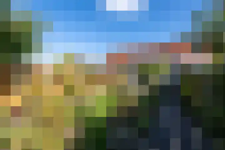 Bûtsingel 44 Joure thumbnail 40