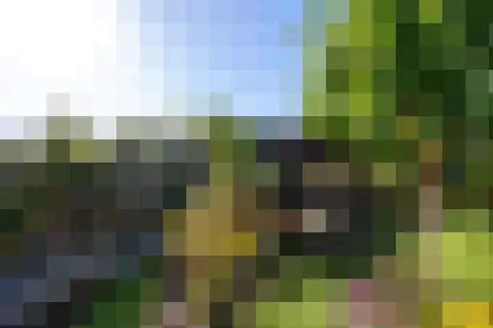 Bûtsingel 44 Joure thumbnail 41