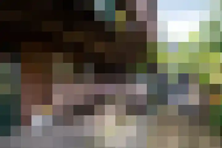 Bûtsingel 44 Joure thumbnail 42