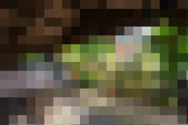 Bûtsingel 44 Joure thumbnail 43