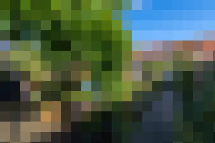 Bûtsingel 44 Joure thumbnail 44