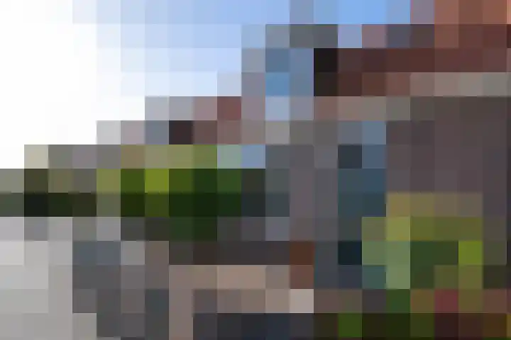 Bûtsingel 44 Joure thumbnail 46