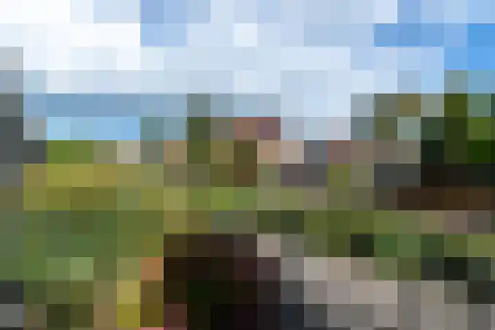 Bûtsingel 44 Joure thumbnail 47