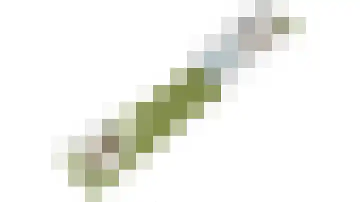 Bûtsingel 44 Joure thumbnail 52