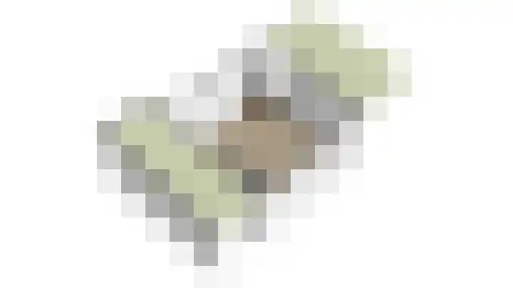 Bûtsingel 44 Joure thumbnail 54