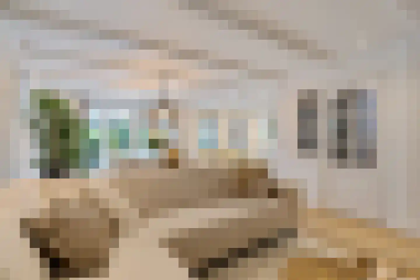 Butterhoek 1 Hippolytushoef thumbnail 21