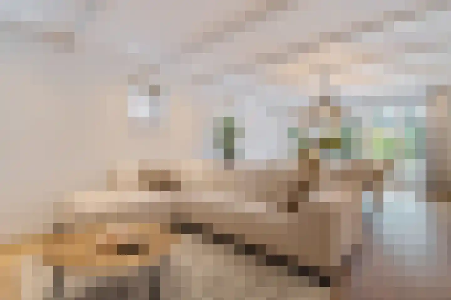 Butterhoek 1 Hippolytushoef thumbnail 22
