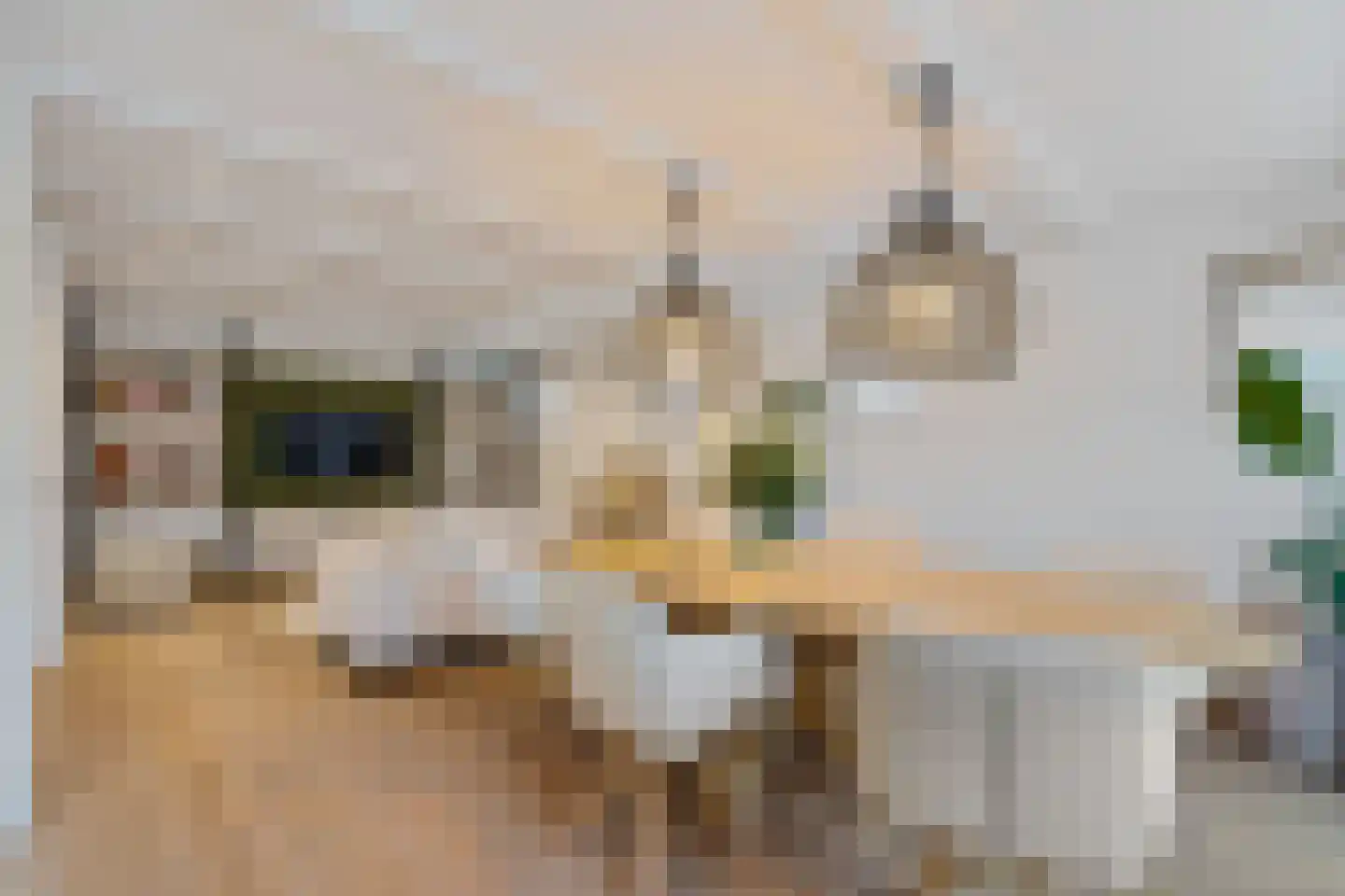 Butterhoek 1 Hippolytushoef thumbnail 26