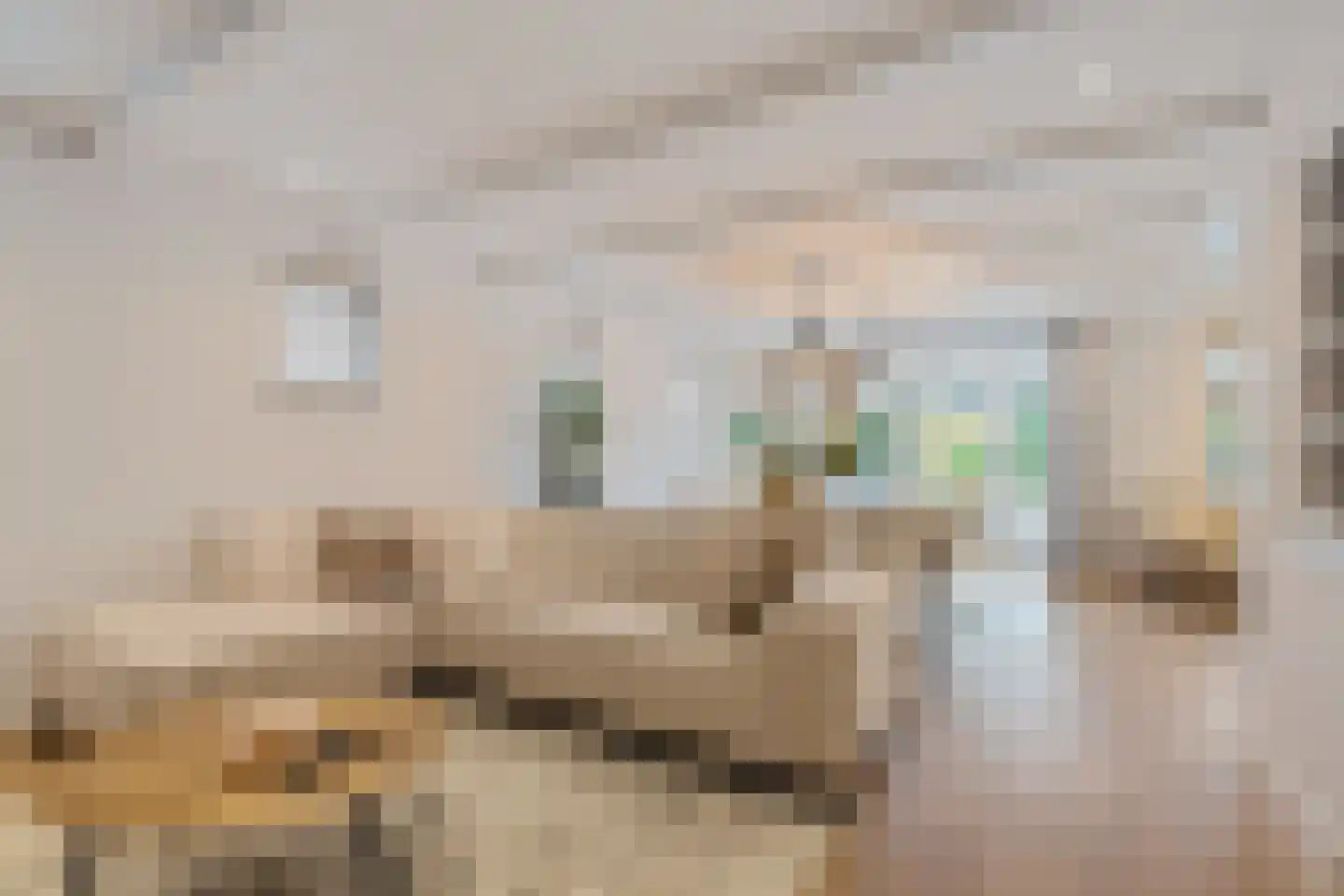 Butterhoek 1 Hippolytushoef thumbnail 4