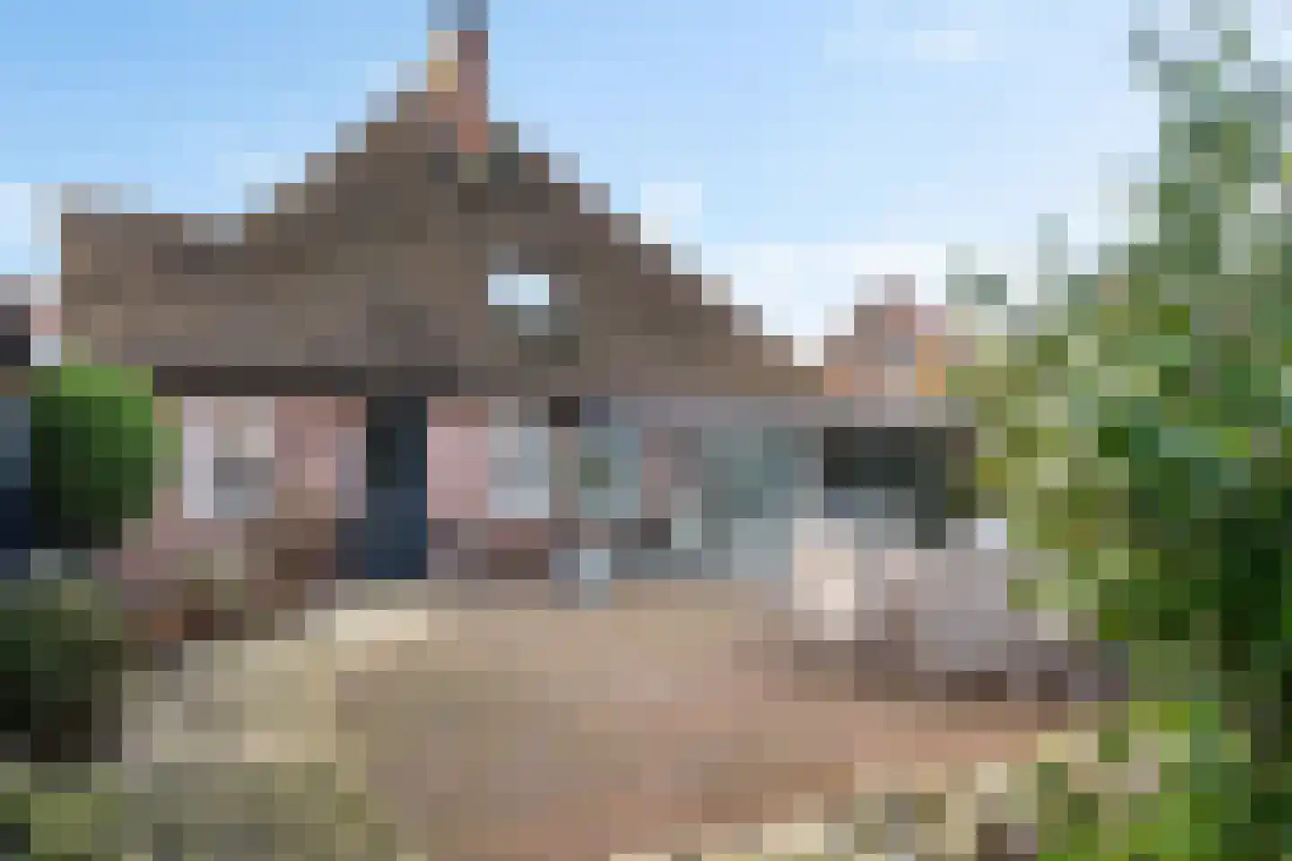 Butterhoek 1 Hippolytushoef thumbnail 53
