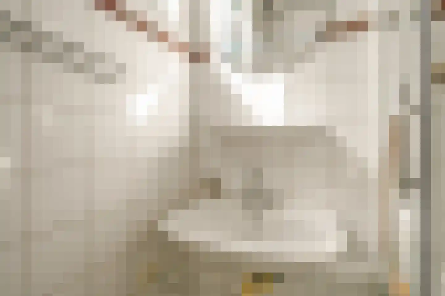 Butterlaan 17 a Heiloo thumbnail 22