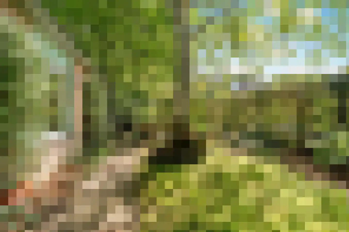 Butterlaan 17 a Heiloo thumbnail 26