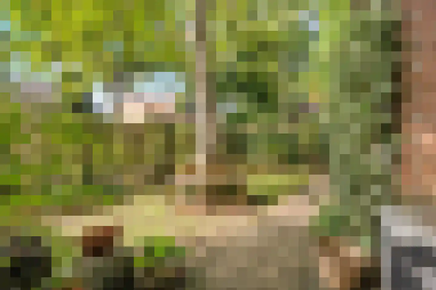 Butterlaan 17 a Heiloo thumbnail 28