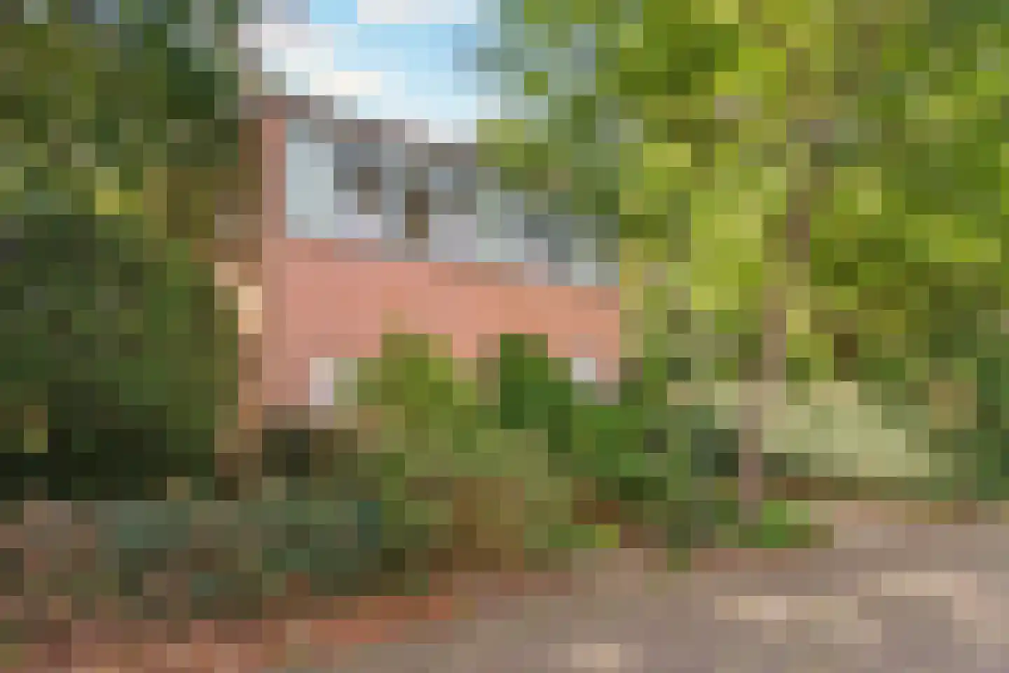 Butterlaan 17 a Heiloo thumbnail 29