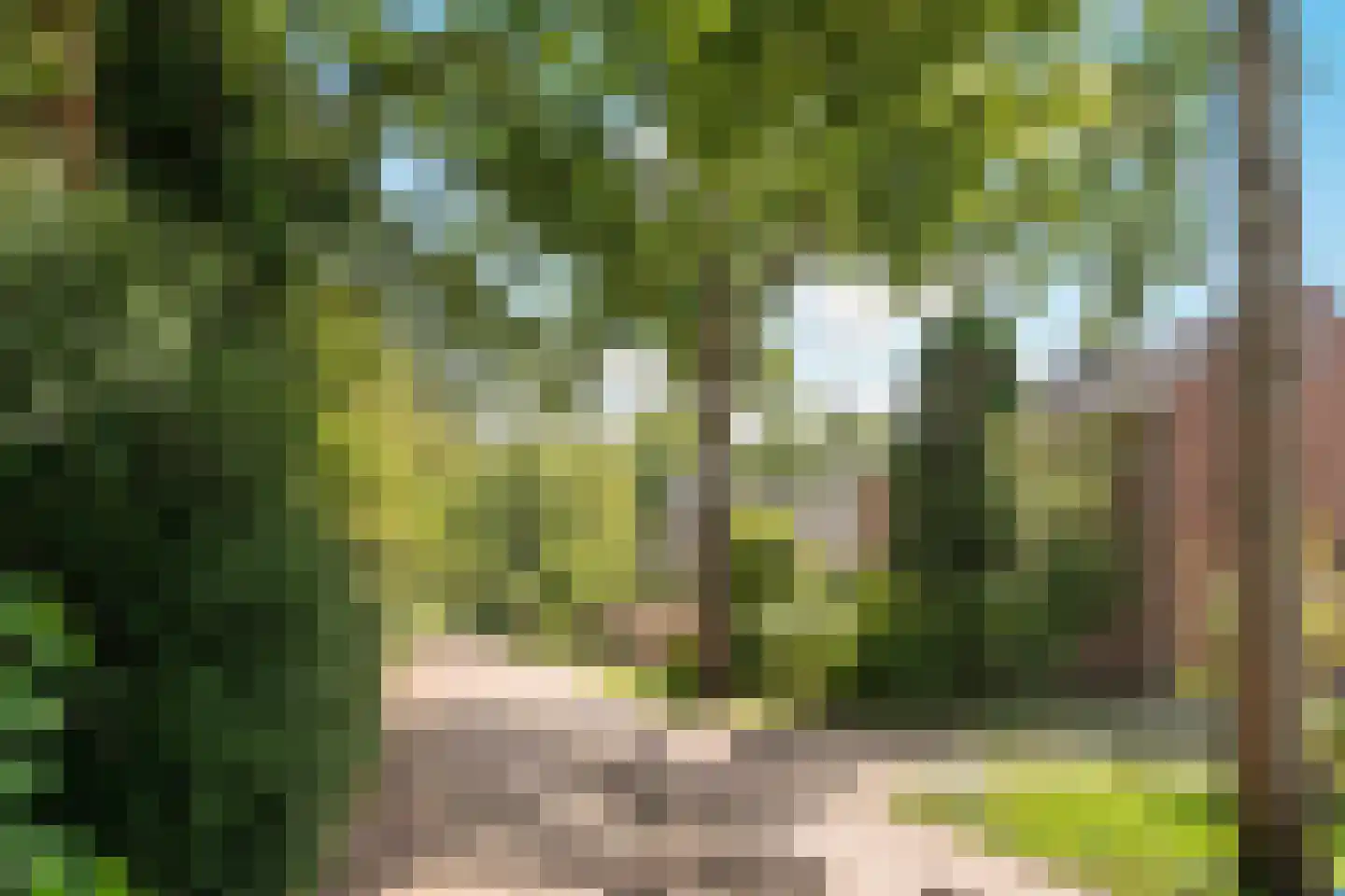 Butterlaan 17 a Heiloo thumbnail 31