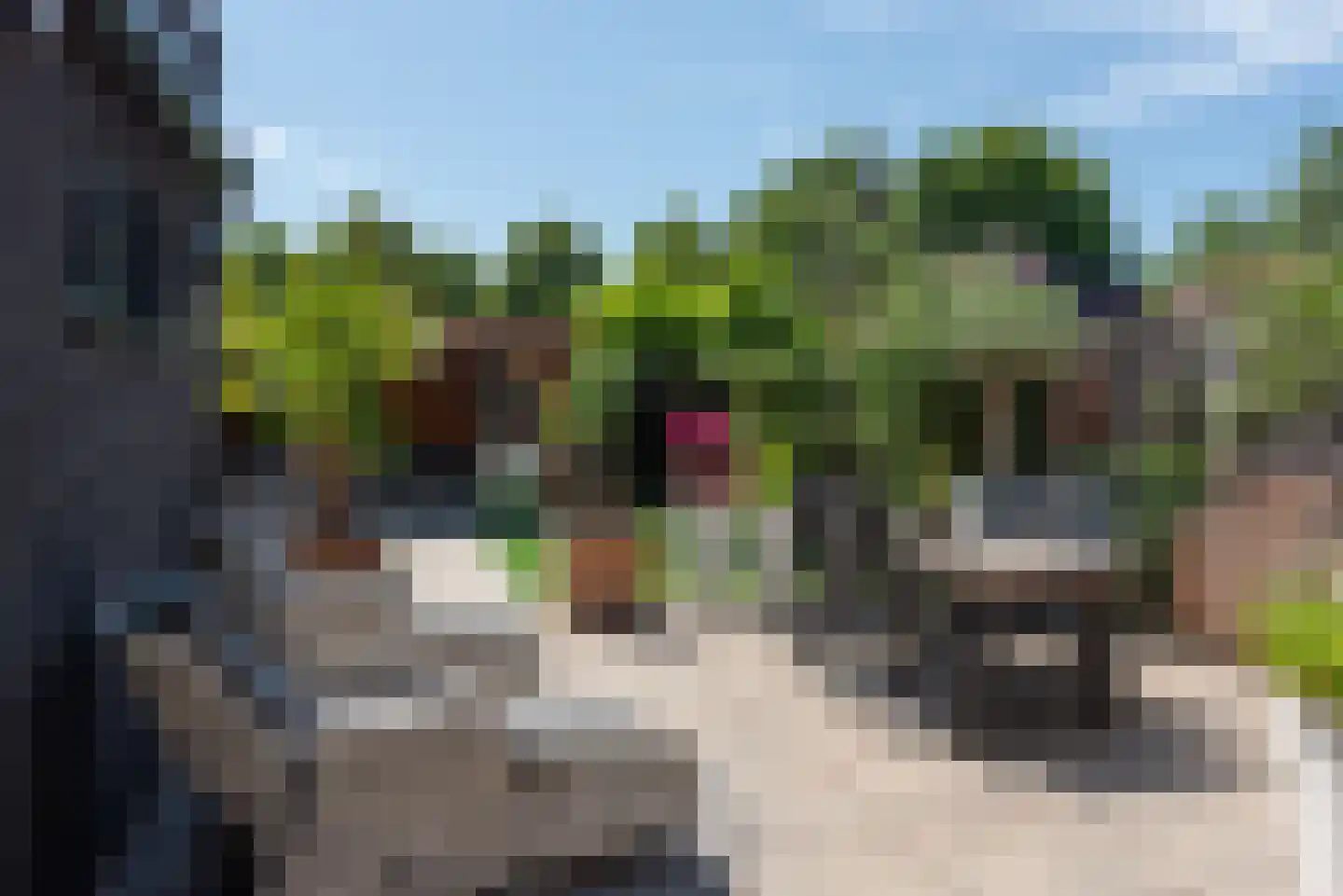Butterlaan 22 Heiloo thumbnail 34