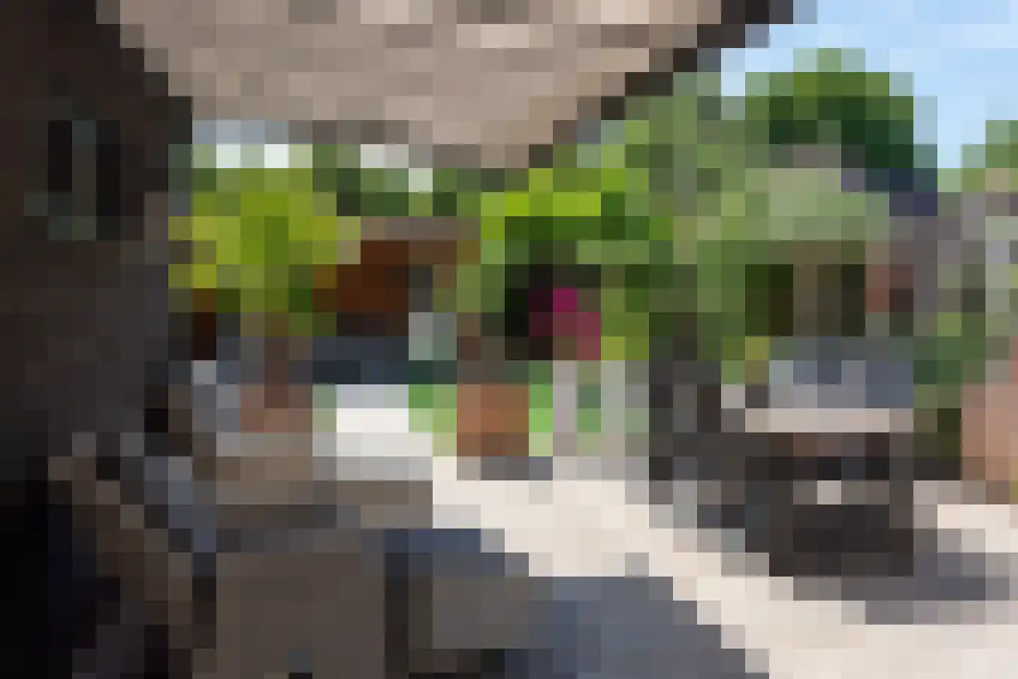 Butterlaan 22 Heiloo thumbnail 35